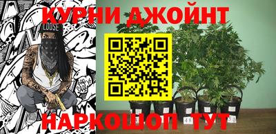 стафф Малгобек