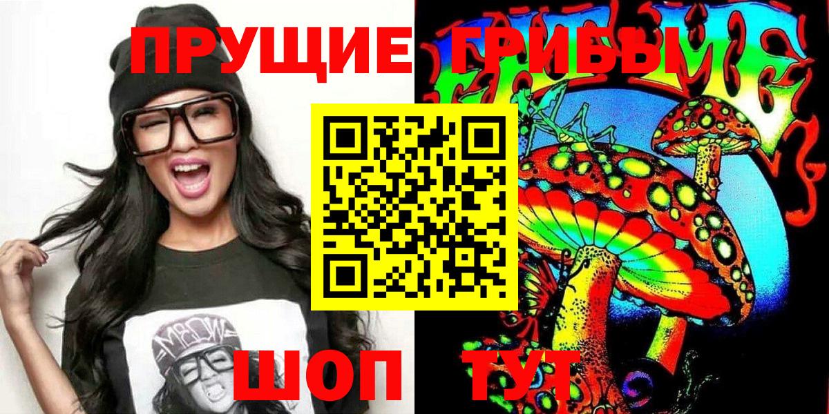 Чехов  Галлюциногенные грибы Cubensis  Вход с VPN 